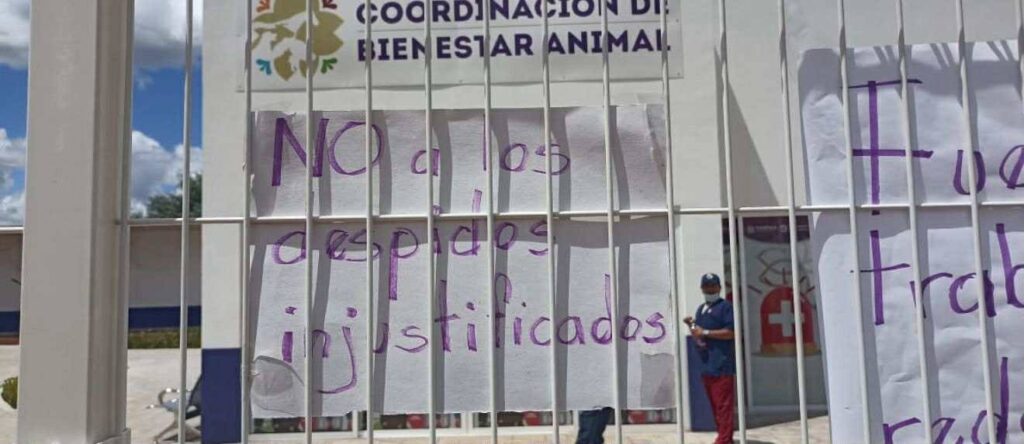 SEÑALAN ABUSOS, MALTRATO Y DESPIDOS INJUSTIFICADOS EN LA COORDINACIÓN DE BIENESTAR ANIMAL EN TLAXCALA