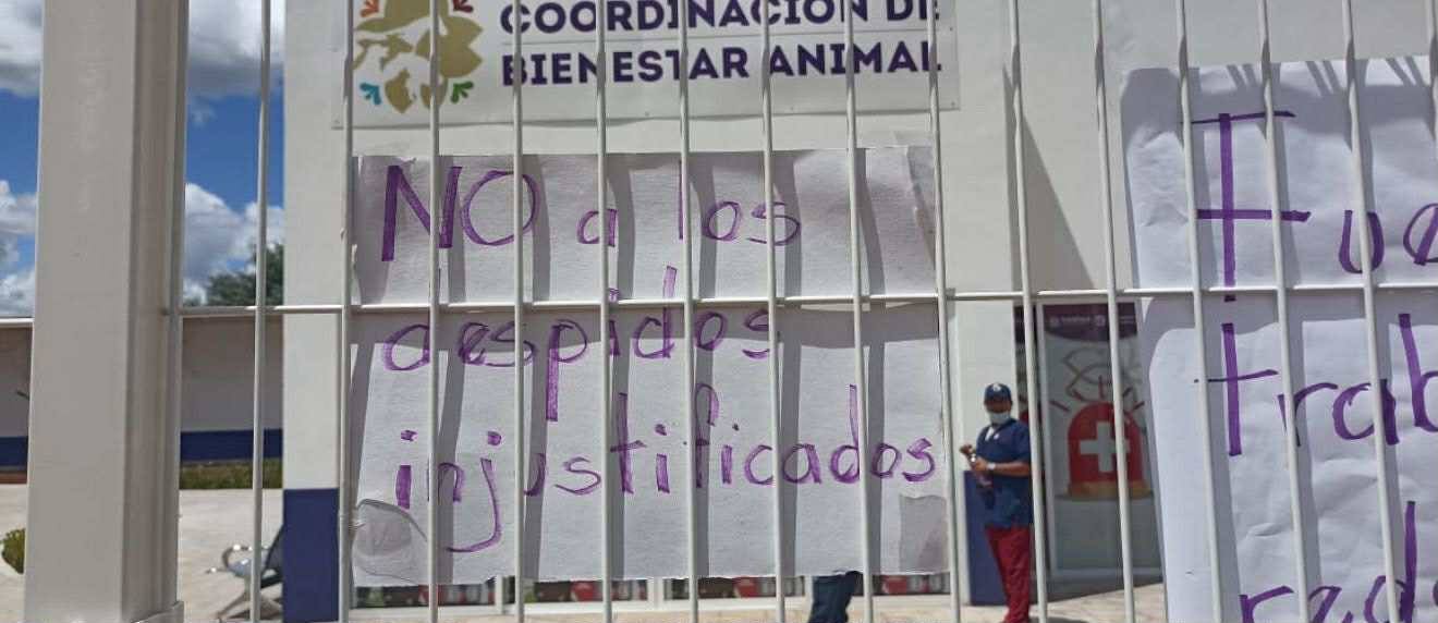 SEÑALAN ABUSOS, MALTRATO Y DESPIDOS INJUSTIFICADOS EN LA COORDINACIÓN DE BIENESTAR ANIMAL EN TLAXCALA