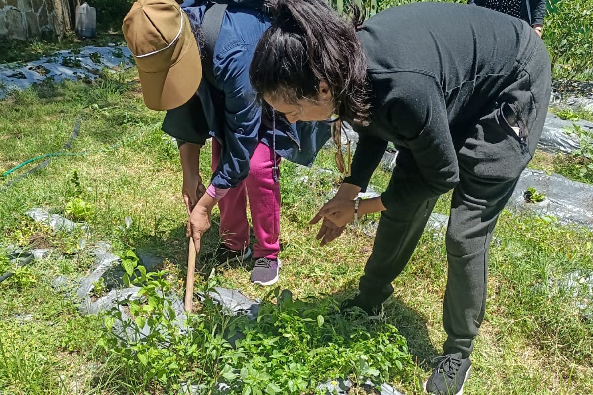 MUJERES QUE BUSCAN EMPODERAMIENTO ECONÓMICO INICIAN CURSO “HUERTOS FAMILIARES” CON RESPALDO DEL AYUNTAMIENTO DE TLAXCALA