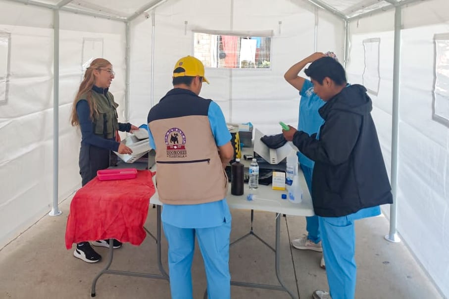 AYUNTAMIENTO DE TLAXCALA Y SESA AMPLÍAN FECHAS PARA ESTERILIZAR DE FORMA GRATUITA A MASCOTAS