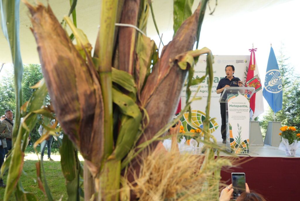 AGRICULTURA Y FAO RECONOCEN AL SISTEMA AGRÍCOLA METEPANTLE DE TLAXCALA COMO PATRIMONIO AGRÍCOLA MUNDIAL