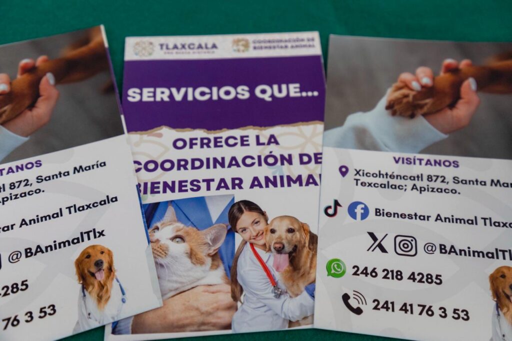 CAPACITAN A AUTORIDADES DE HUAMANTLA EN LA CORRECTA APLICACIÓN DEL REGLAMENTO MUNICIPAL DE PROTECCIÓN Y BIENESTAR DE ANIMALES DE COMPAÑÍA