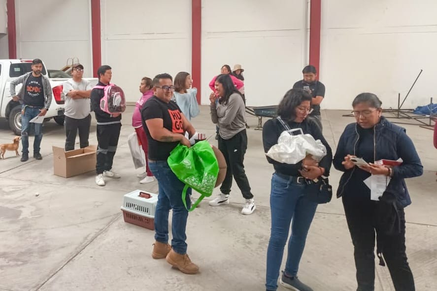EL PRÓXIMO LUNES INICIA EL AYUNTAMIENTO DE LA CAPITAL NUEVA CAMPAÑA DE ESTERILIZACIÓN GRATUITA PARA PERROS Y GATOS