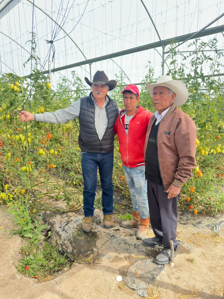 EN EMILIANO ZAPATA Y LÁZARO CÁRDENAS, INFORMAN A PRODUCTORES SOBRE EL SUBSIDIO AL MAÍZ BLANCO