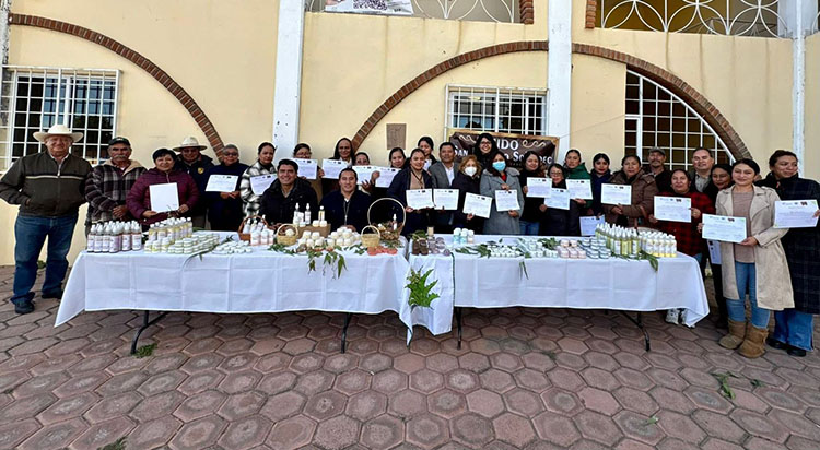 TLAXCO IMPULSA LA HERBOLARIA: CRECE EL INTERÉS CIUDADANO POR LA “FARMACIA VIVIENTE” Y LOS SABERES ANCESTRALES