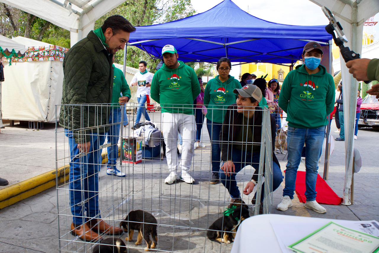 CON ÉXITO SE REALIZA JORNADA DE ADOPCIÓN “ADOPTA UN AMIGO” EN HUAMANTLA