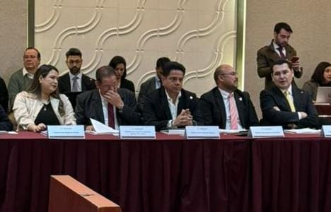 TLAXCALA PARTICIPA EN LA PRIMERA SESIÓN ORDINARIA 2025 DEL SIPINNA NACIONAL