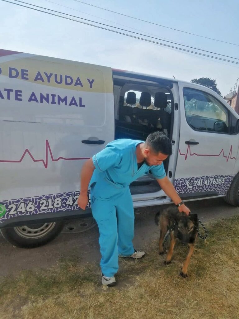 TLAXCALA FORTALECE EL BIENESTAR ANIMAL CON ATENCIÓN A MÁS DE 4 MIL 700 MASCOTAS