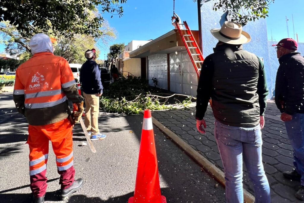 MEJORA LA SEGURIDAD AYUNTAMIENTO DE TLAXCALA EN BULEVAR MARIANO SÁNCHEZ CON TRABAJOS DE MANTENIMIENTO