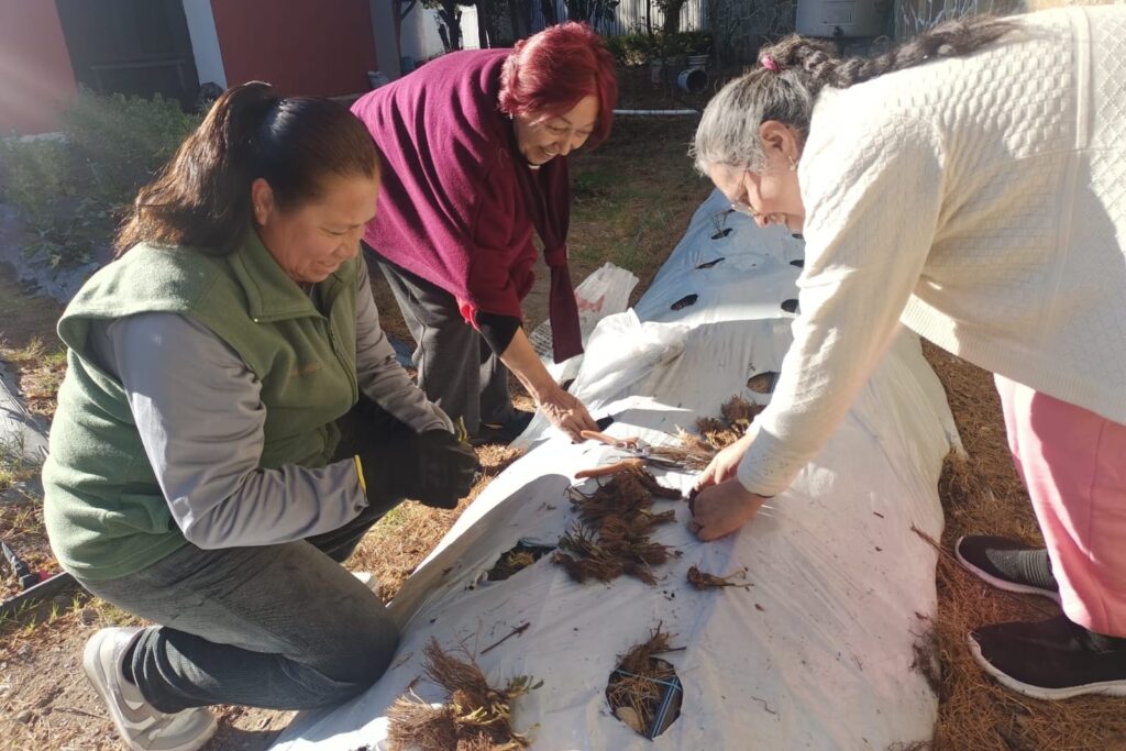 ARRANCA AYUNTAMIENTO DE TLAXCALA CAPACITACIÓN PARA MUJERES CON CURSO DE HUERTOS FAMILIARES