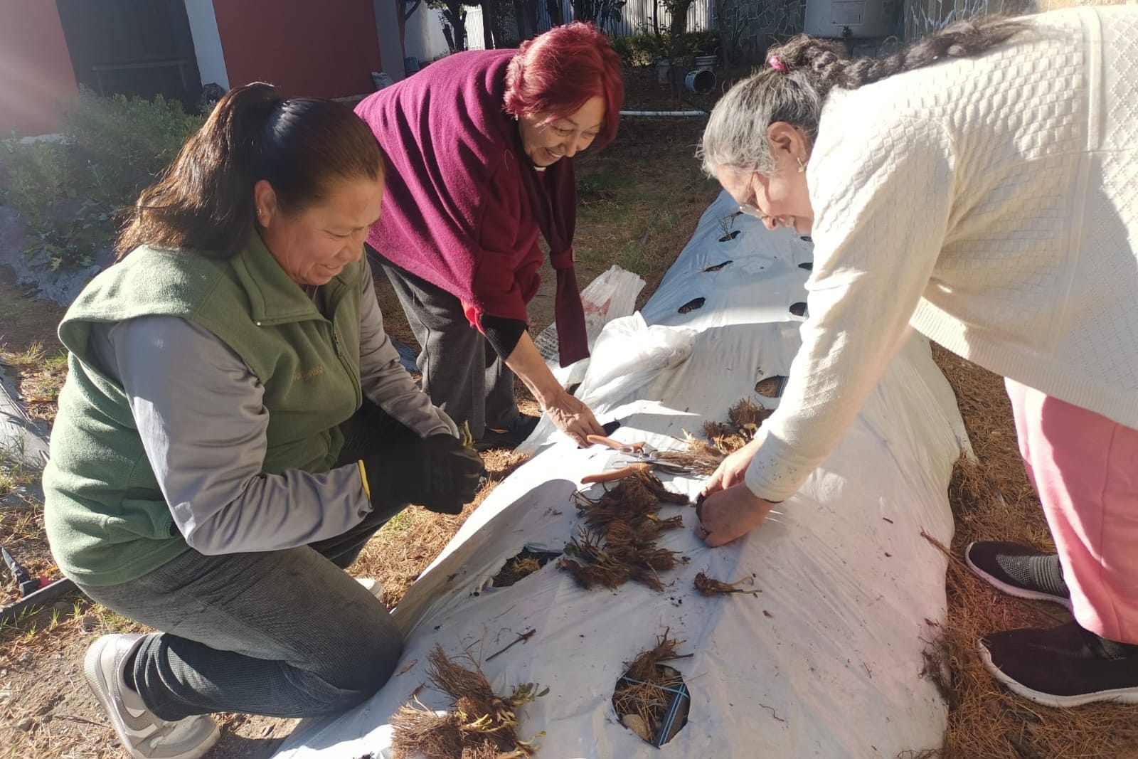 ARRANCA AYUNTAMIENTO DE TLAXCALA CAPACITACIÓN PARA MUJERES CON CURSO DE HUERTOS FAMILIARES