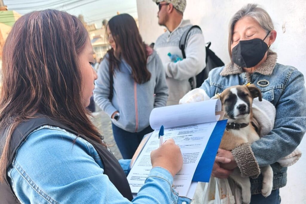CONTINÚA AYUNTAMIENTO DE TLAXCALA CON JORNADA DE ESTERILIZACIÓN CANINA Y FELINA GRATUITA AHORA EN LOMA BONITA