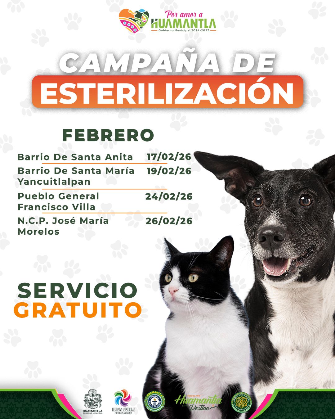 Con éxito se realiza jornada de esterilización en Santa Anita; 40 cirugías en favor del bienestar animal