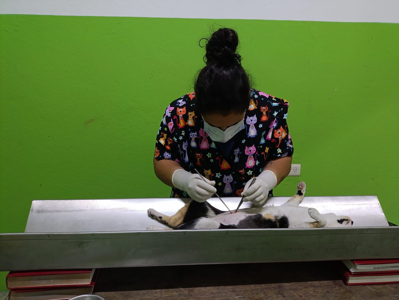 CONTINÚAN LAS JORNADAS DE ESTERILIZACIÓN EN HUAMANTLA PARA PROMOVER LA TENENCIA RESPONSABLE