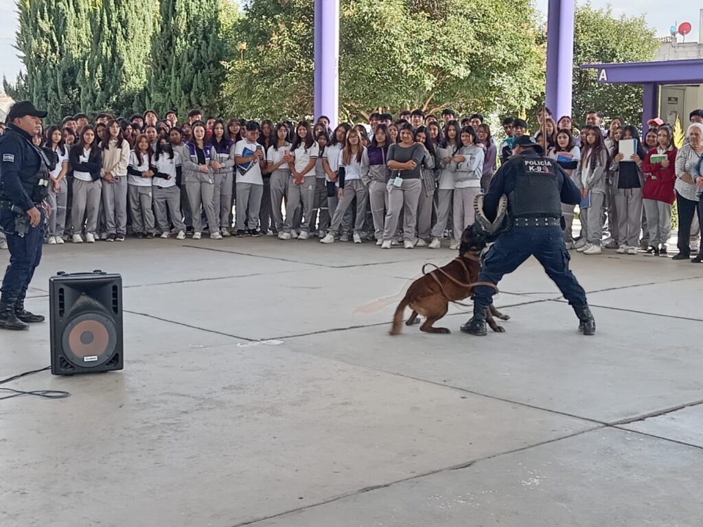 SEGURIDAD PÚBLICA DE HUAMANTLA FORTALECE LA PROXIMIDAD SOCIAL CON DEMOSTRACIÓN CANINA EN COBAT 02