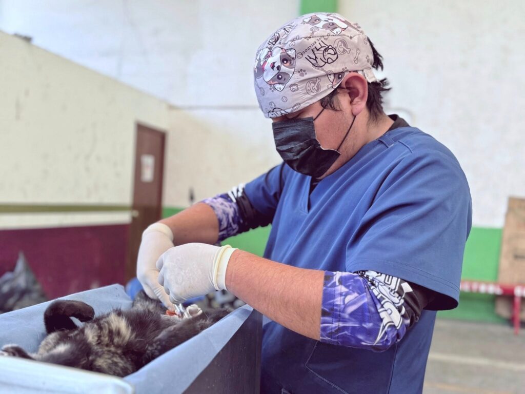 COORDINACIÓN DE BIENESTAR ANIMAL BRINDA MÁS DE 4 MIL SERVICIOS VETERINARIOS