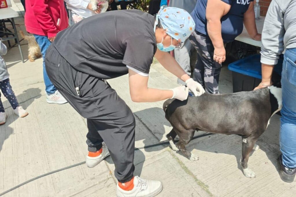 AMPLÍA AYUNTAMIENTO DE TLAXCALA JORNADA DE BIENESTAR ANIMAL Y LLEGARÁ EL 18 DE MARZO A SAN LUCAS CUAUHTELULPAN