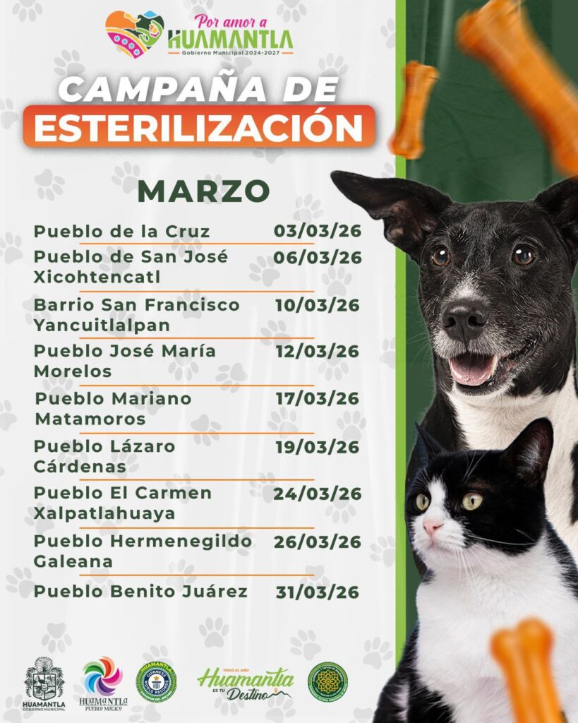 GOBIERNO MUNICIPAL DE HUAMANTLA CONTINÚA CAMPAÑA DE ESTERILIZACIÓN DE PERROS Y GATOS EN COMUNIDADES