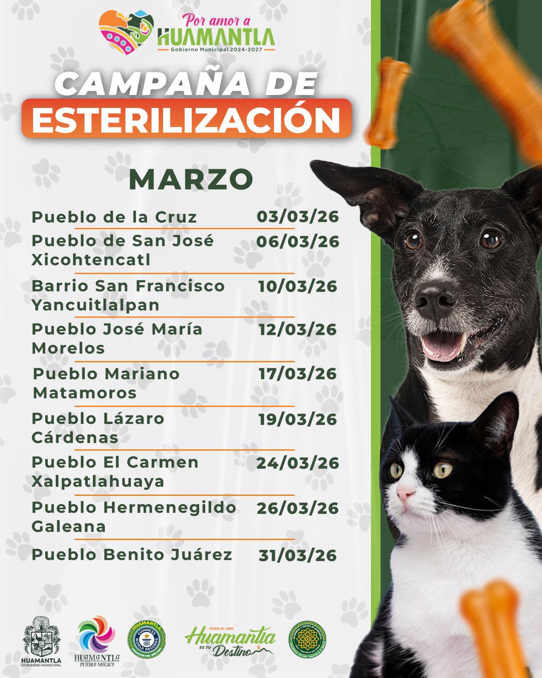 GOBIERNO MUNICIPAL DE HUAMANTLA CONTINÚA CAMPAÑA DE ESTERILIZACIÓN DE PERROS Y GATOS EN COMUNIDADES