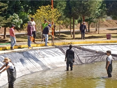 UNIVERSIDAD POLITÉCNICA FORTALECE INNOVACIÓN ACUÍCOLA CON PROYECTO DE TILAPIA