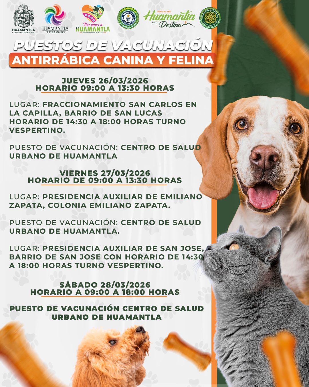 TENDRÁ HUAMANTLA JORNADA DE VACUNACIÓN ANTIRRÁBICA CANINA Y FELINA