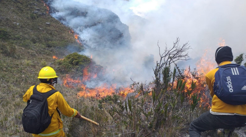 TLAXCALA REDUCE INCENDIOS EN 77% Y FORTALECE A BRIGADISTAS: APUESTA HISTÓRICA CONTRA EL FUEGO