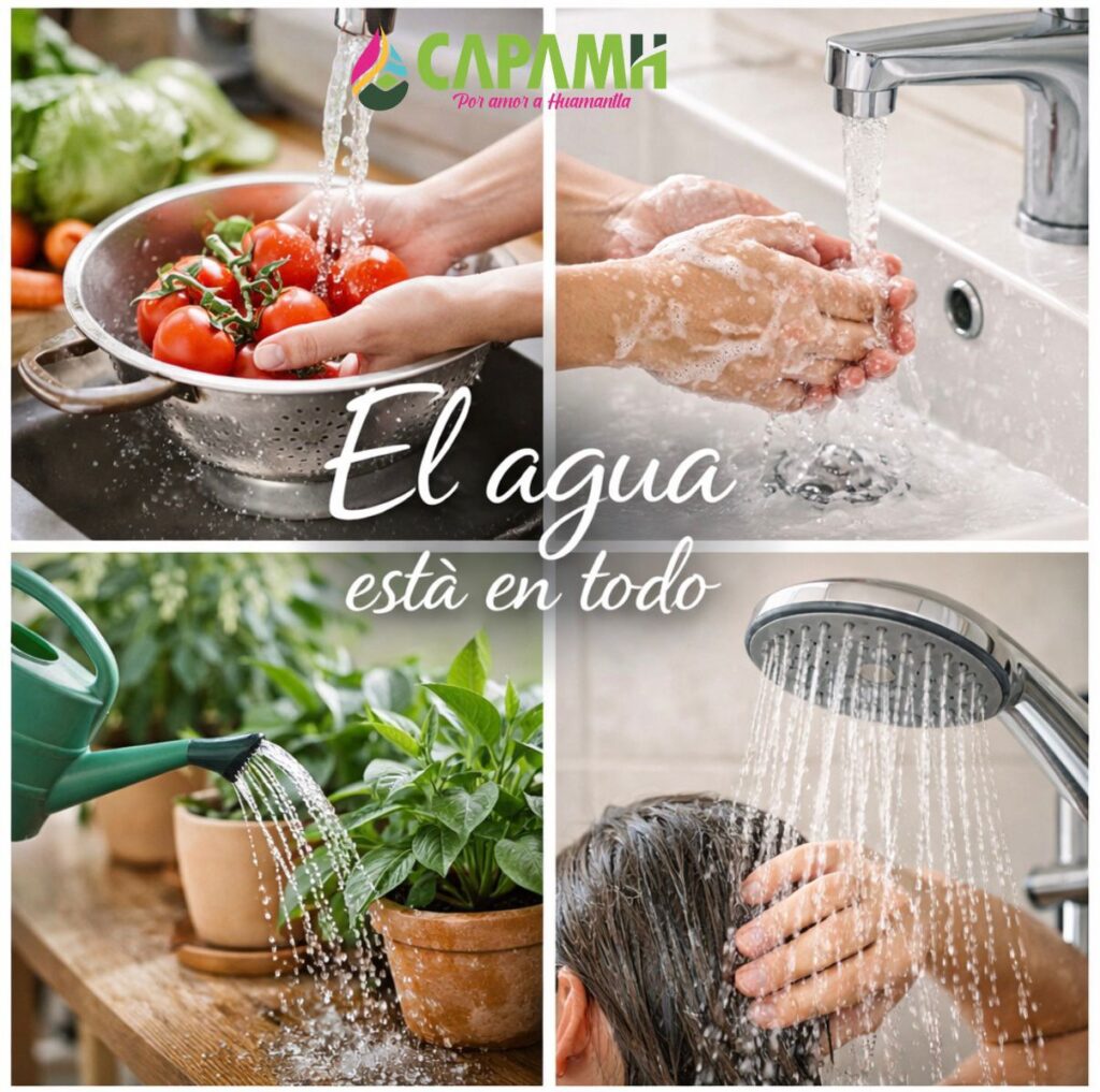 El agua está en todo.