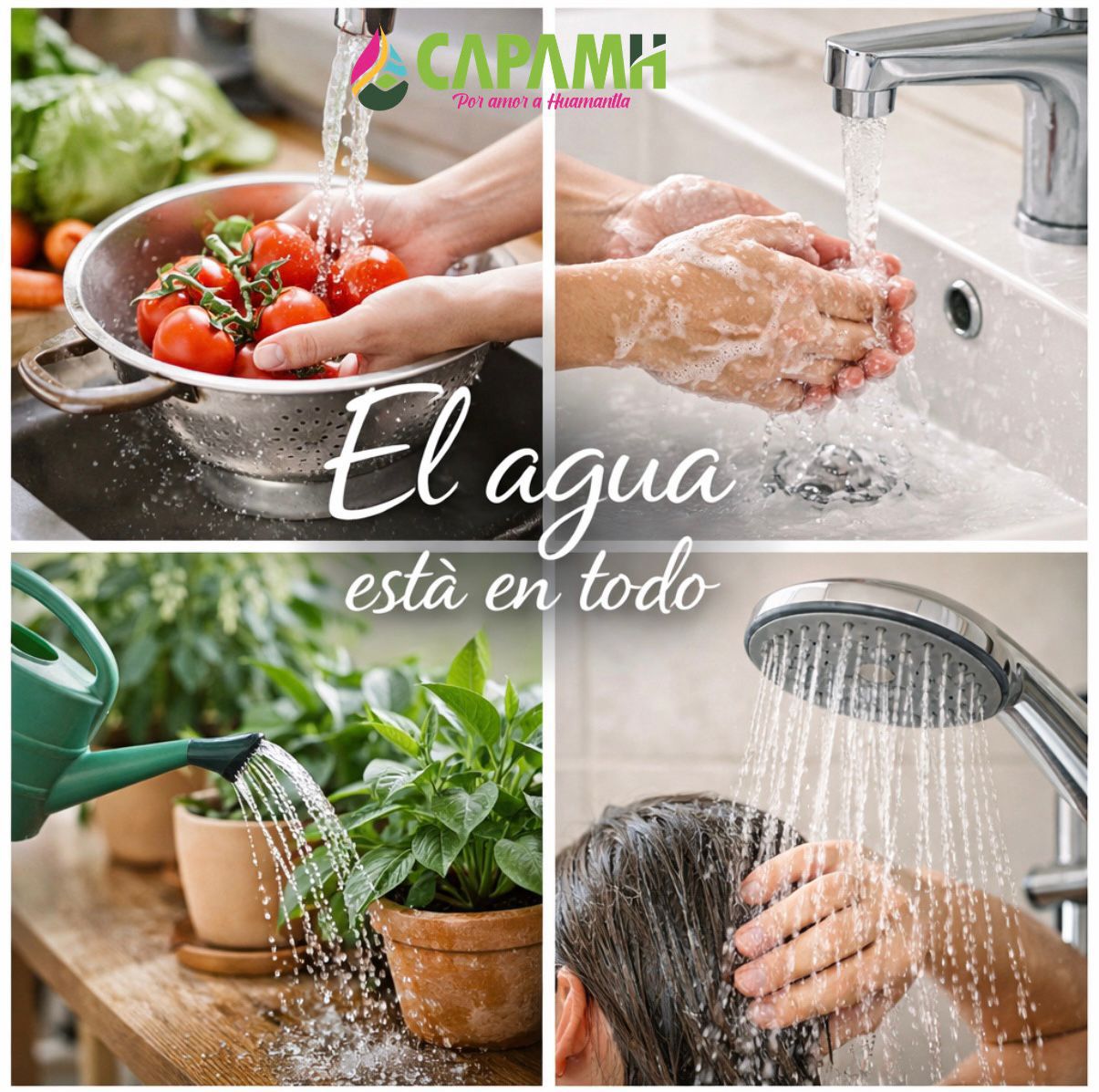 El agua está en todo.