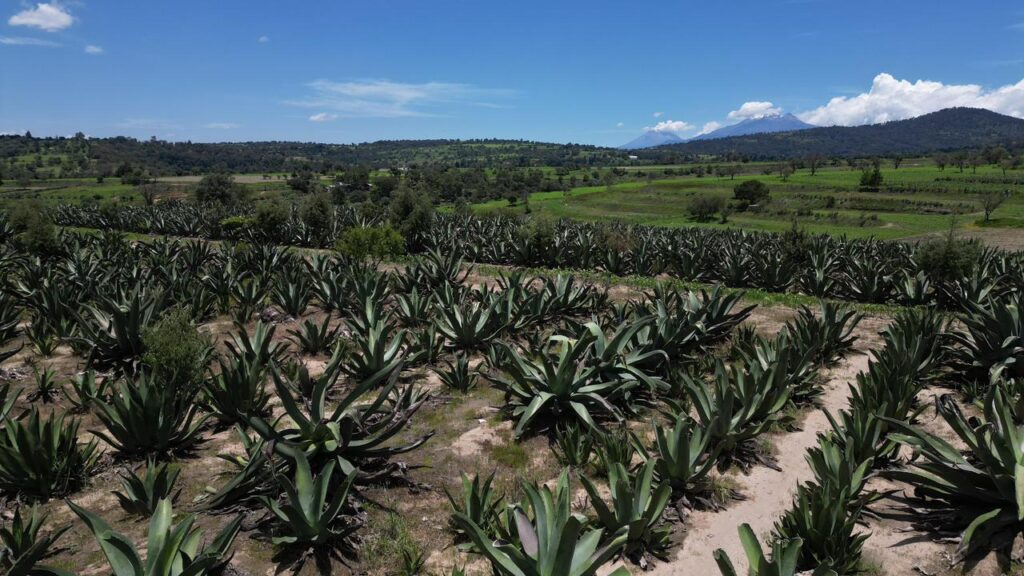 GOBIERNO DEL ESTADO REHABILITARÁ CAMINOS RURALES PARA SACAR COSECHAS Y CONECTAR COMUNIDADES