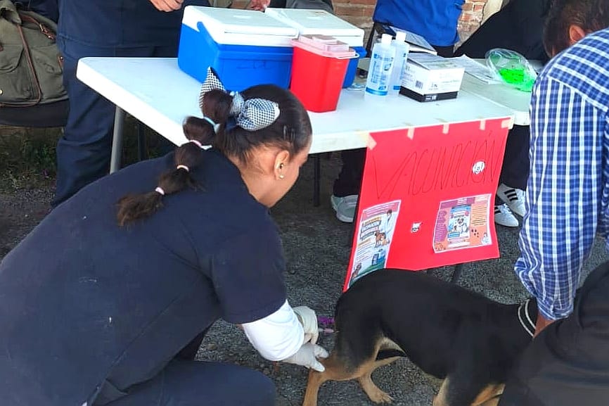AYUNTAMIENTO DE TLAXCALA DARÁ CONTINUIDAD A CAMPAÑA ANTIRRÁBICA PARA MASCOTAS QUE NO FUERON VACUNADAS EN MARZO