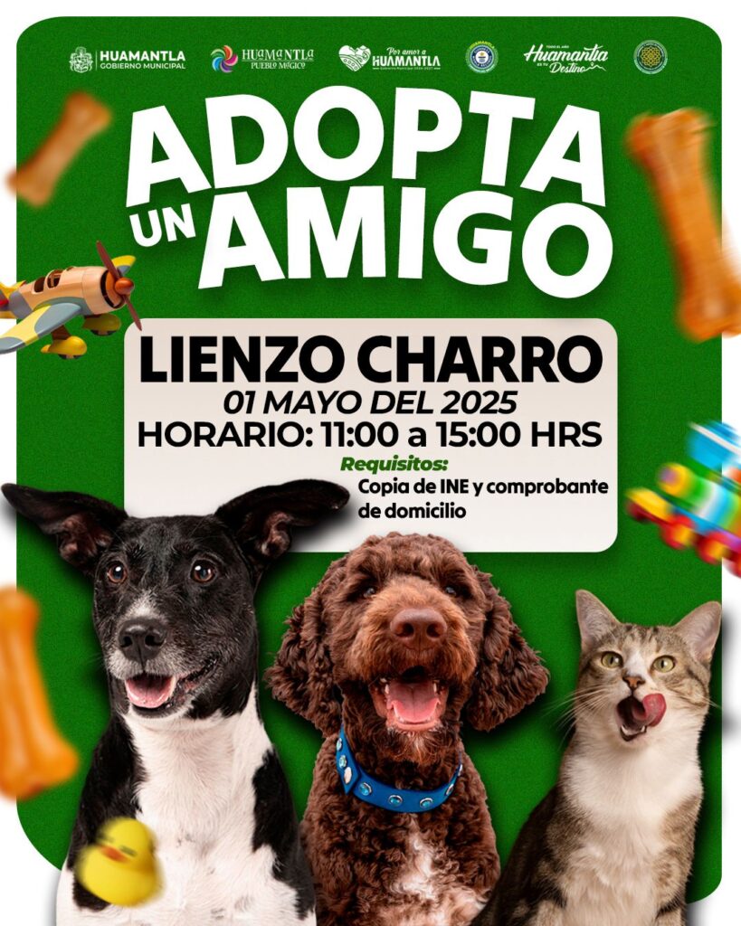 HUAMANTLA PROMUEVE LA ADOPCIÓN RESPONSABLE CON JORNADA “ADOPTA UN AMIGO”