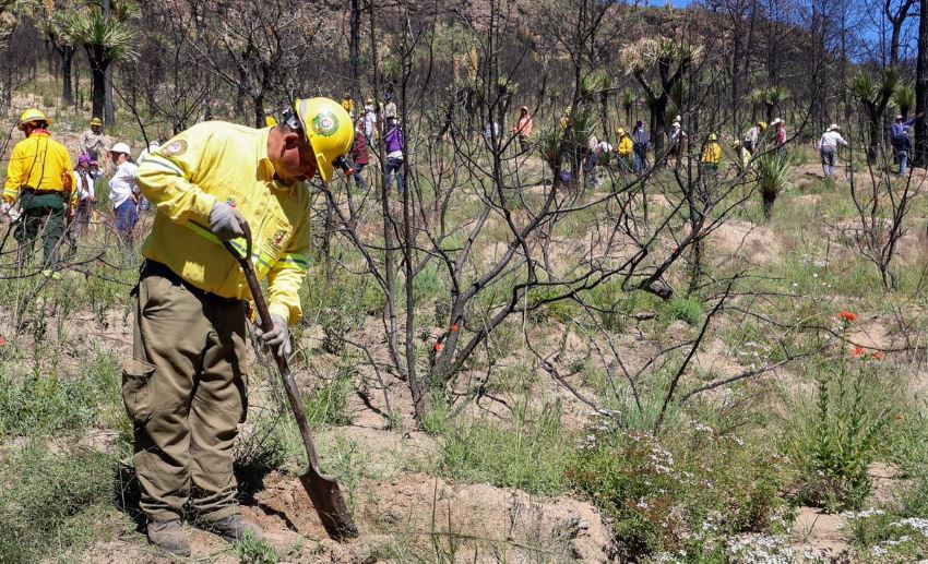¡RENACE ATLTZAYANCA! MILLONARIA INVERSIÓN IMPULSA LA RECUPERACIÓN TRAS DEVASTADOR INCENDIO