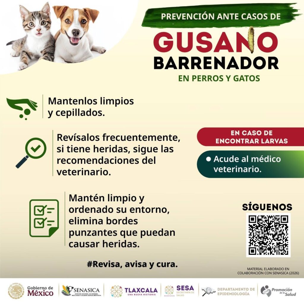 HUAMANTLA SE SUMA A CAMPAÑA DE PREVENCIÓN CONTRA EL GUSANO BARRENADOR