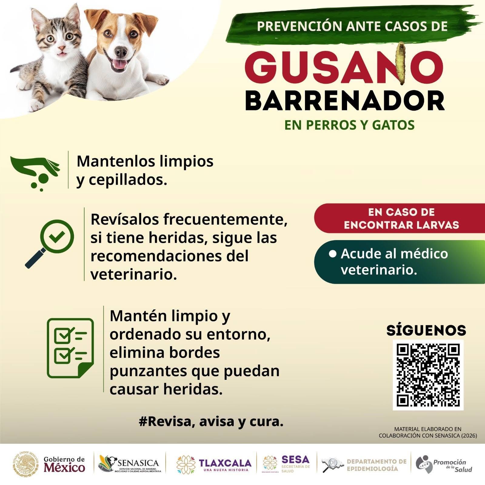 HUAMANTLA SE SUMA A CAMPAÑA DE PREVENCIÓN CONTRA EL GUSANO BARRENADOR