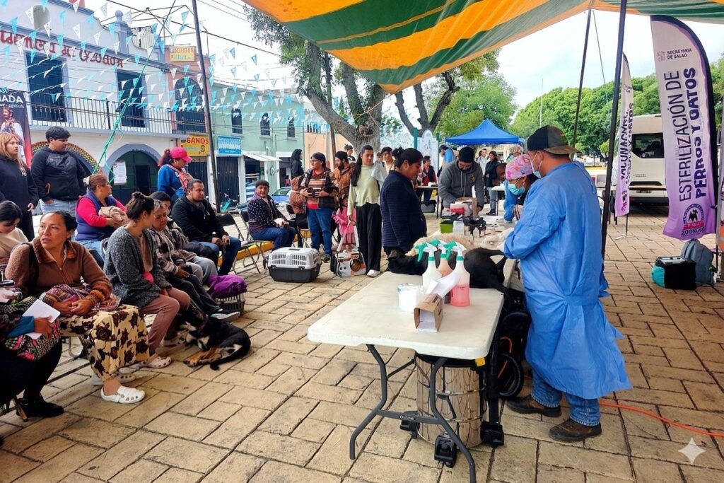 GOBIERNO DE ALFONSO SÁNCHEZ GARCÍA REALIZA EXITOSA JORNADA DE ESTERILIZACIÓN CANINA Y FELINA EN OCOTLÁN