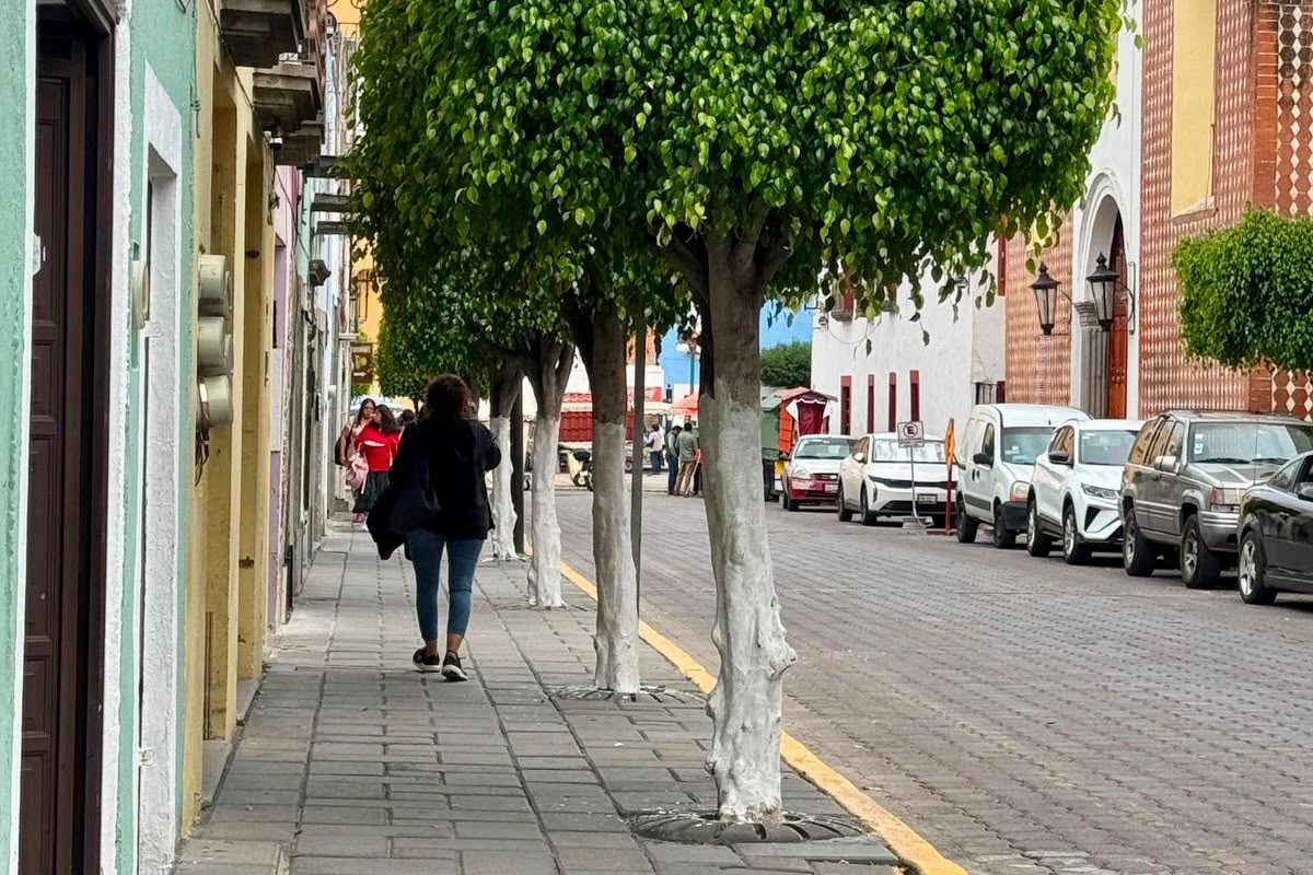CUIDAN EL ARBOLADO URBANO EN EL CORAZÓN DE TLAXCALA; REALIZAN TRABAJOS DE CONSERVACIÓN EN LA CALLE PORFIRIO DÍAZ