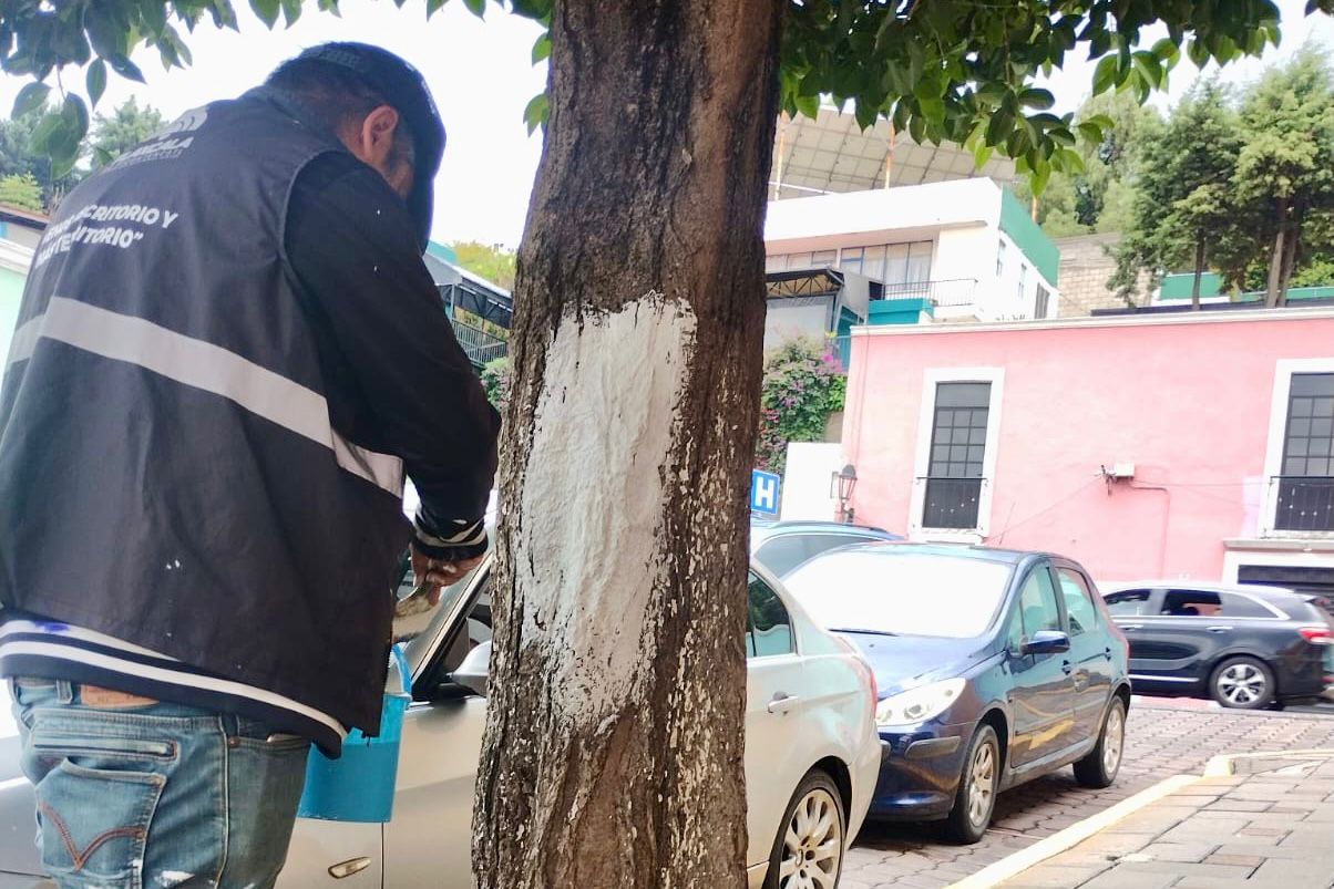 BRIGADAS #MÁSTERRITORIO REFUERZAN LIMPIEZA Y ORDEN EN ESPACIOS PÚBLICOS