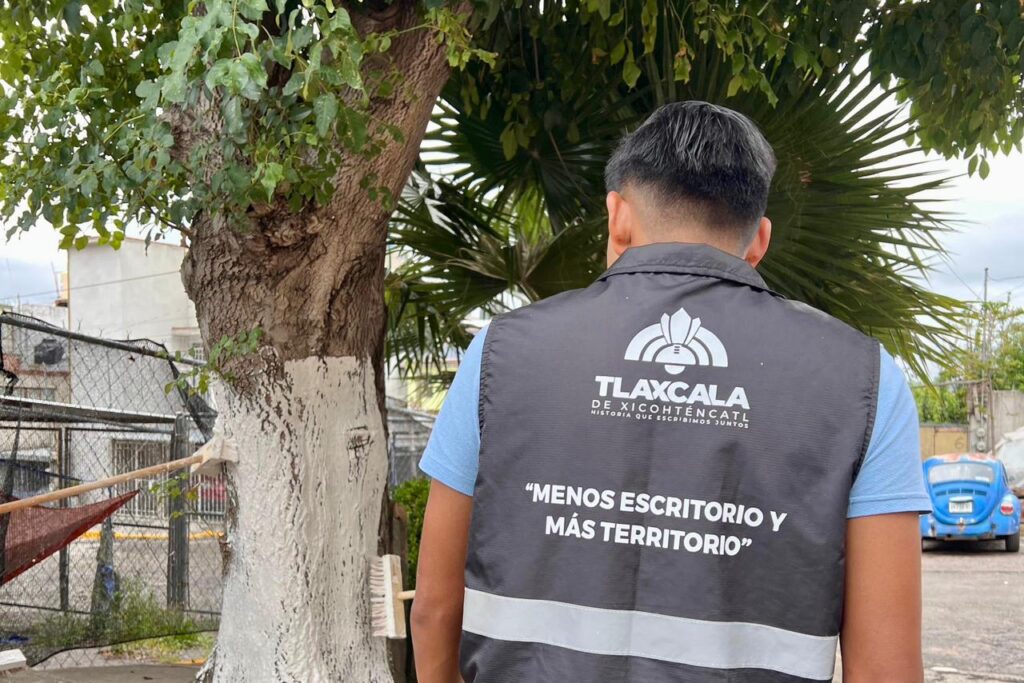 REFUERZAN CUIDADO DE EL SABINAL CON ACCIONES PARA PRESERVAR EL ARBOLADO URBANO