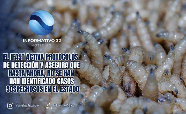 TLAXCALA MANTIENE VIGILANCIA PERMANENTE POR POSIBLE PRESENCIA DE GUSANO BARRENADOR EN FAUNA SILVESTRE