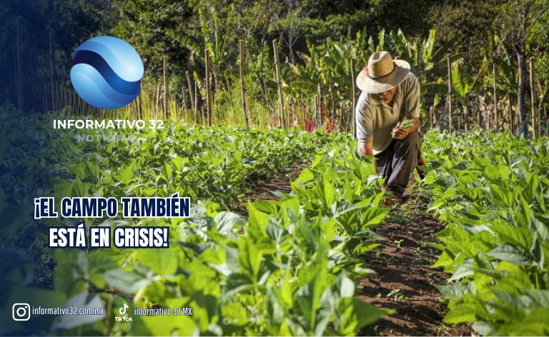 SIN PAGOS Y SIN RECURSOS, TRABAJADORES ADVIERTEN RIESGO PARA LA SANIDAD AGRÍCOLA EN TLAXCALA