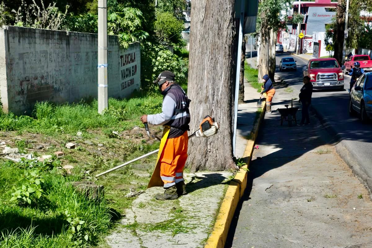 BRIGADAS DE “MÁS TERRITORIO” TRANSFORMAN CALLES DE TLAXCALA CON LABORES DE LIMPIEZA Y PODA