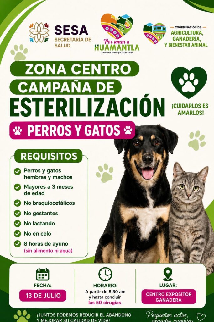 Gobierno de Huamantla invita a la Campaña de Esterilización para perros y gatos y promueve la tenencia responsable de animales de compañía