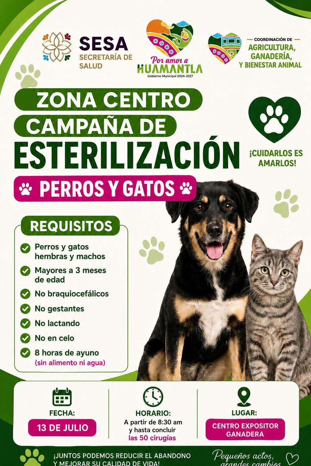 Gobierno de Huamantla invita a la Campaña de Esterilización para perros y gatos y promueve la tenencia responsable de animales de compañía