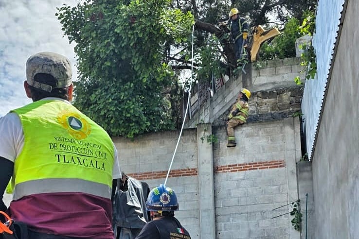 PREVIENEN POLICÍA MUNICIPAL Y PROTECCIÓN CIVIL DE LA CAPITAL POSIBLE ACCIDENTE POR ÁRBOL EN RIESGO DE CAER EN ATEMPAN