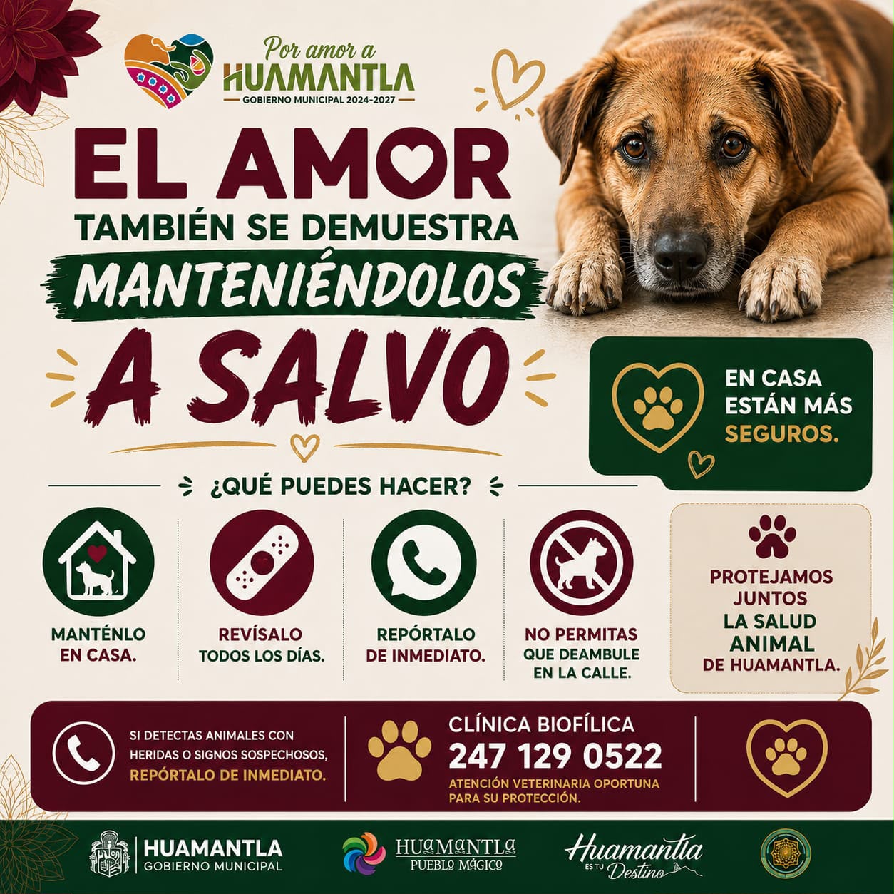 LA PREVENCIÓN DEL GUSANO BARRENADOR ES RESPONSABILIDAD DE TODAS Y TODOS.