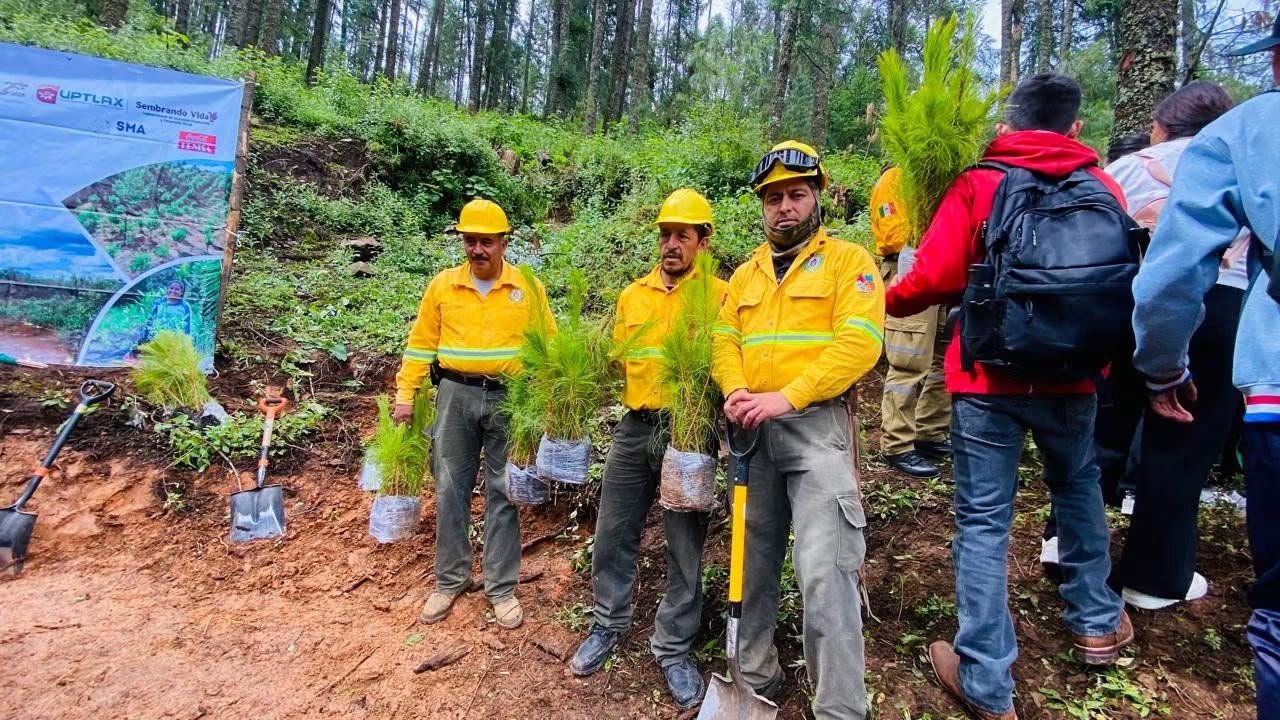 Emiliano Zapata se sumó a la Reforestación Nacional 2026 para fortalecer el cuidado del medio ambiente