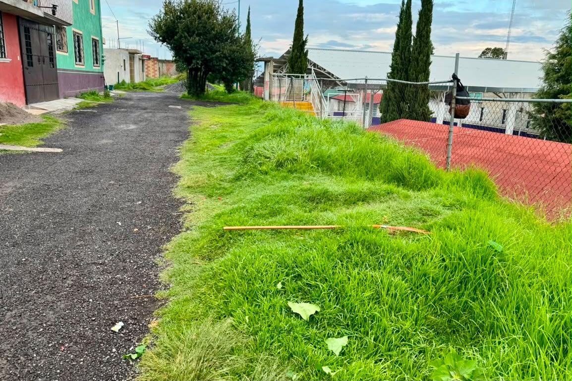 REFUERZAN LABORES DE MANTENIMIENTO EN EL BULEVAR GUILLERMO VALLE PARA MEJORAR LA IMAGEN URBANA