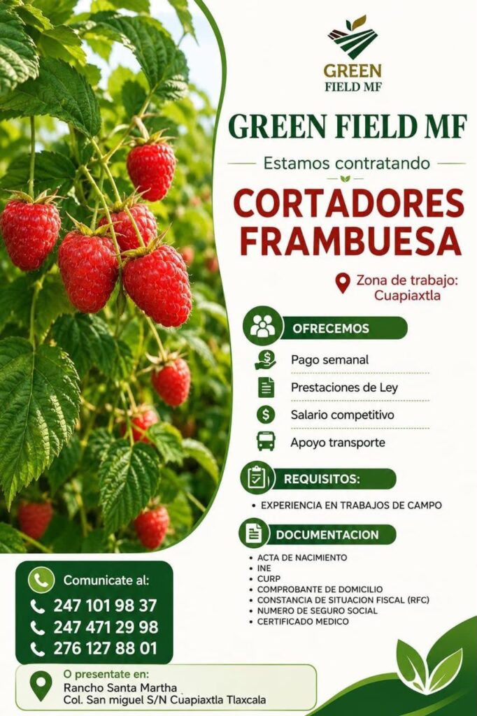 ¡Nueva oportunidad de empleo!