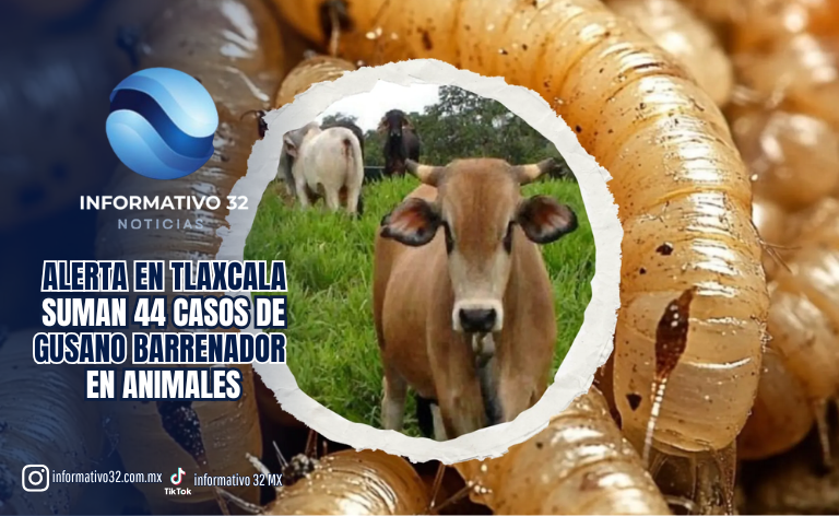 ALERTA EN TLAXCALA: SUMAN 44 CASOS DE GUSANO BARRENADOR EN ANIMALES