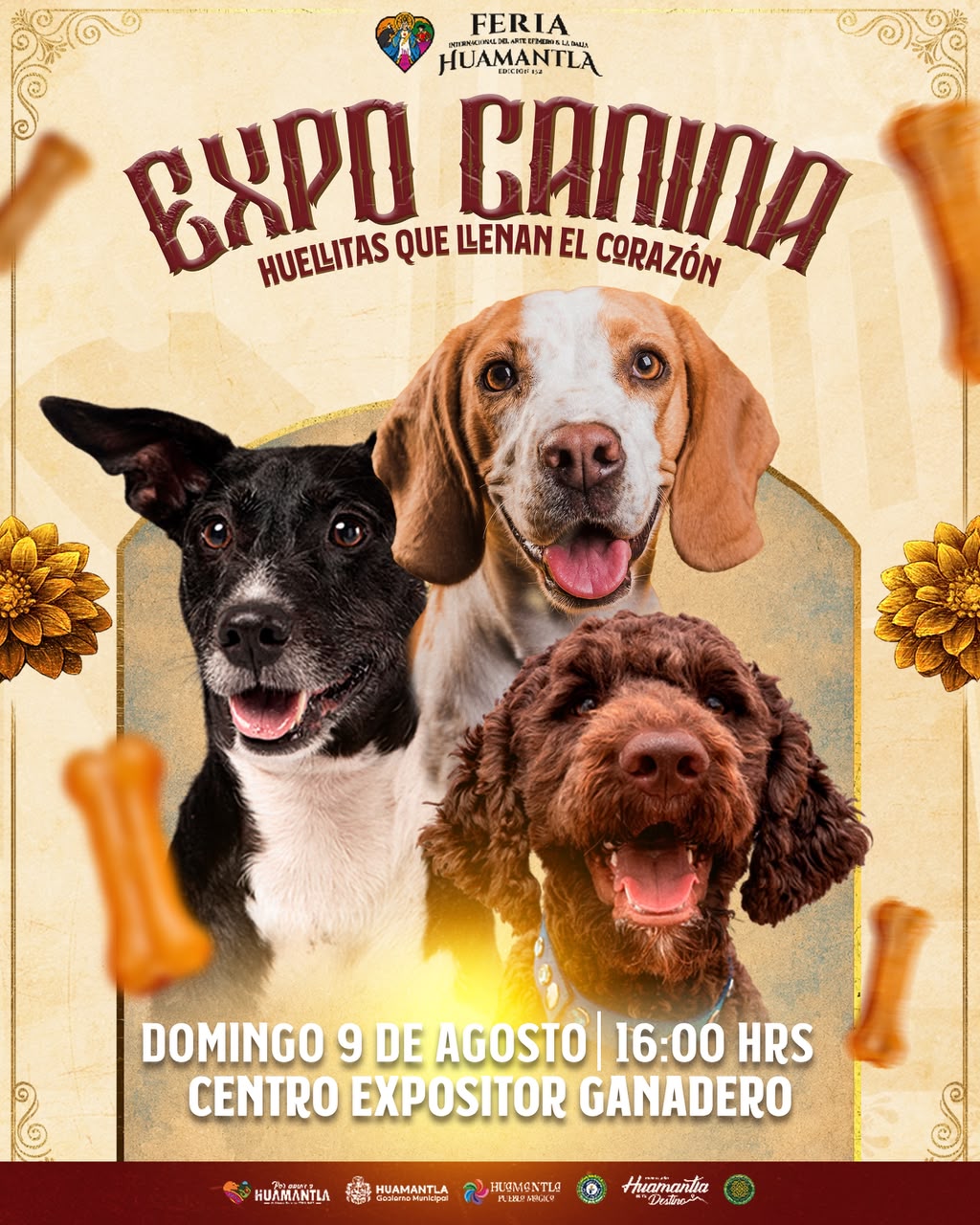 ¡PREPÁRATE PARA UNA TARDE LLENA DE LADRIDOS, ALEGRÍA Y MUCHAS HUELLITAS!